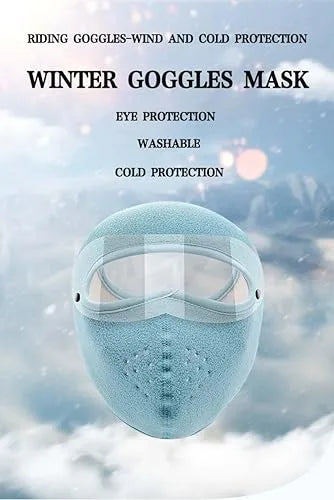 Face Mask Protector